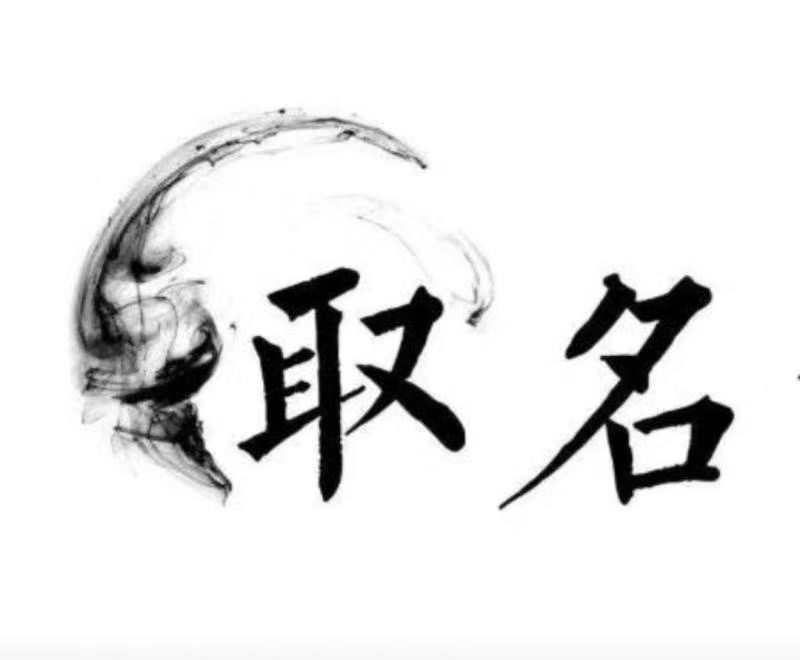  施秉宝宝取名 大师一对一人工起名